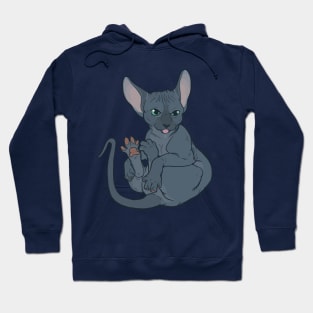 Sphynx Toes Hoodie